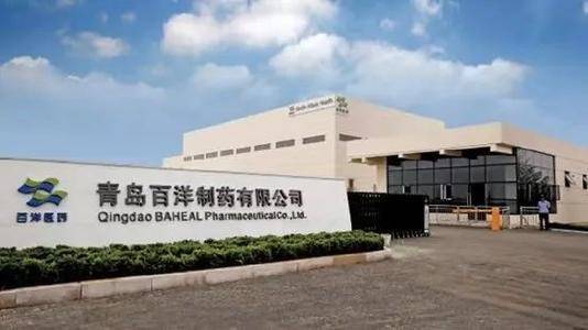 青岛百洋医药最新招聘信息✨