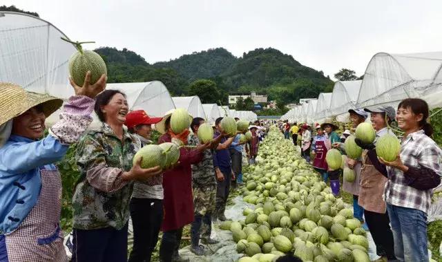 最新免费游戏,快速产出解决方案_旗舰款94.708