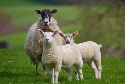 一站式城市服务平台 第334页