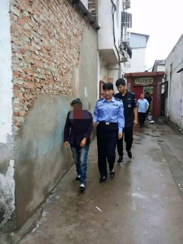 最新号,担保计划执行法策略_原创版94.312