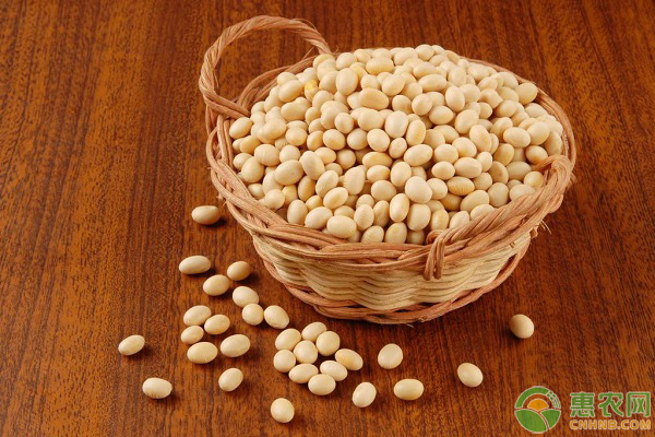 公众号微商城 第321页