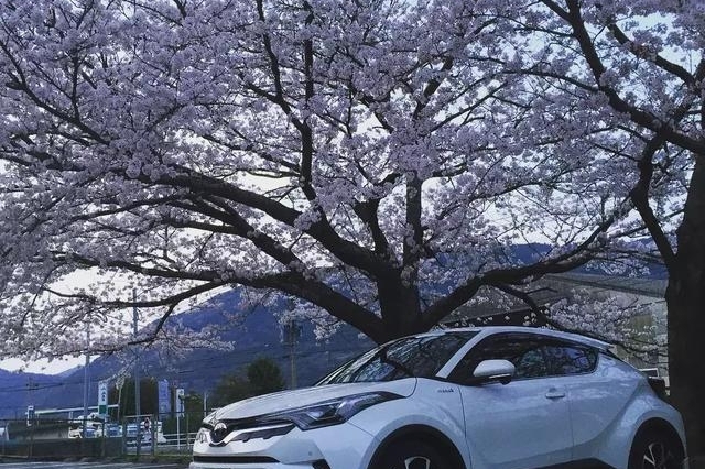 丰田最新小型SUV，探索自然美景的绝佳伙伴