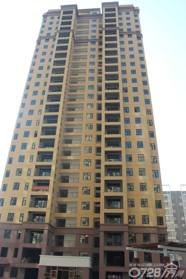 元泰未来城最新工程进度,理论考证解析_白银版23.303