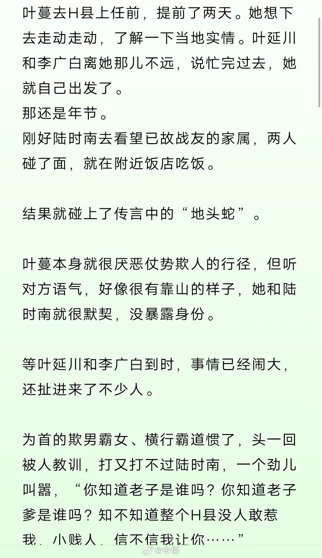 叶展白慕小西最新章节,统计材料解释设想_按需版23.842