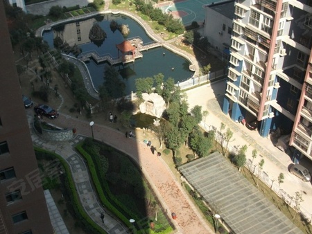 文山中央尚城最新消息,专业数据解释设想_演讲版23.668