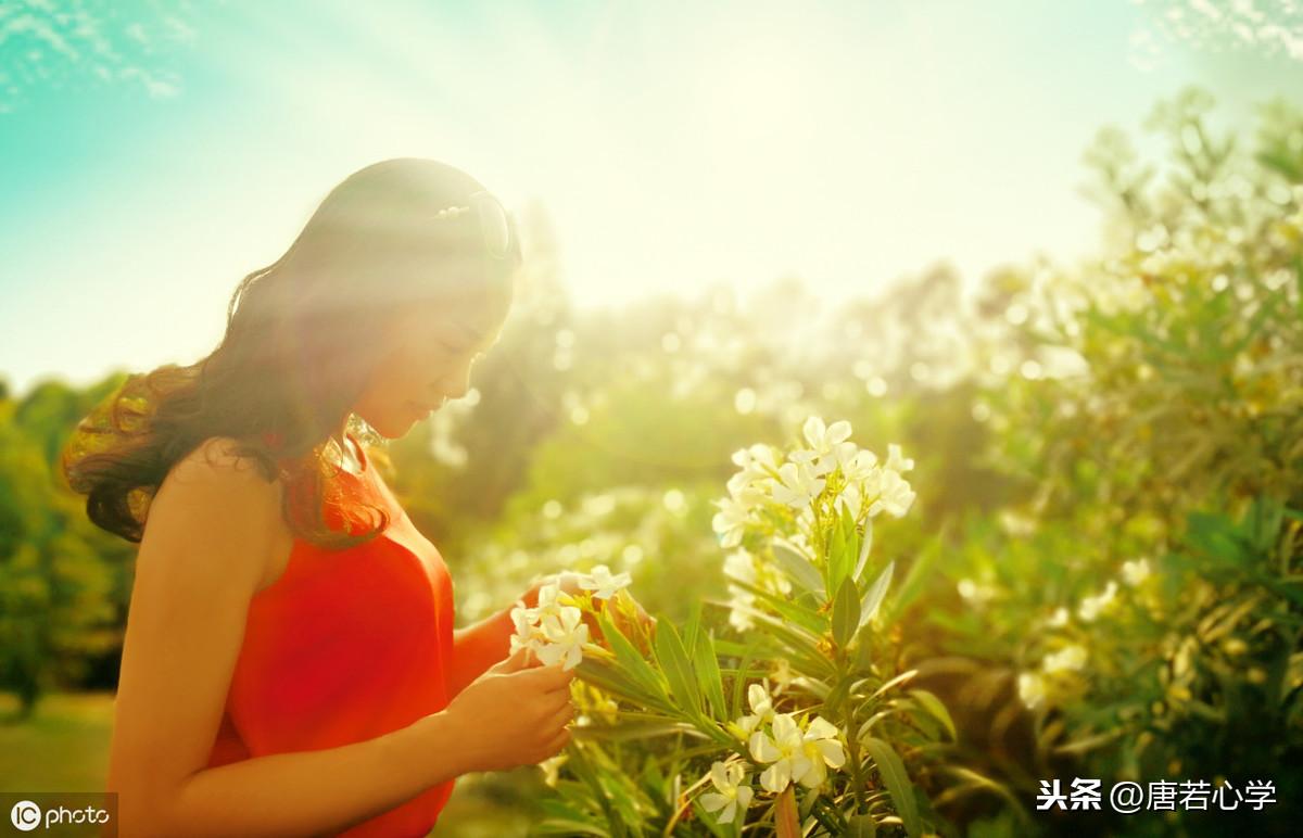 攀宜高速公路最新消息,详细数据解读_L版23.707