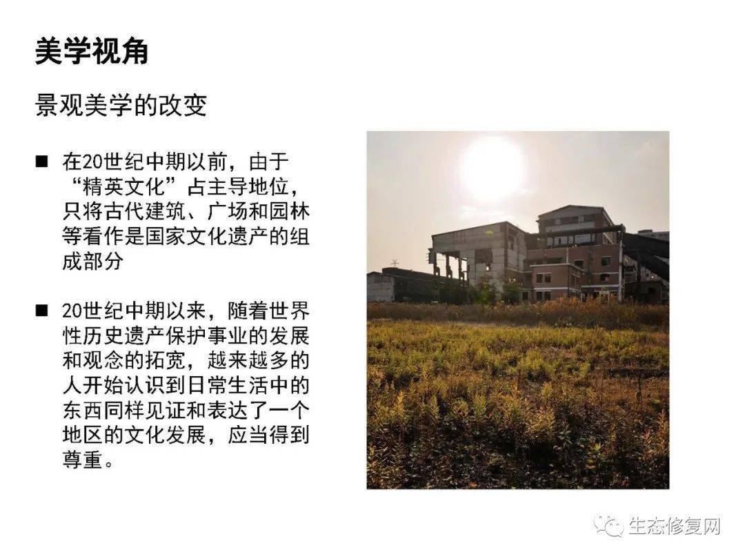 多元视角下的台湾最新政论深度解析