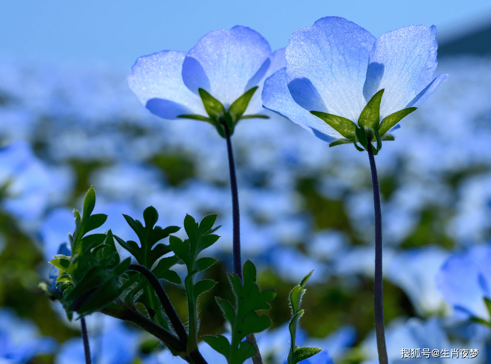 久草在线最新涉黄问题的警示文章