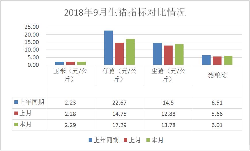 猪市行情深度解析,最新动态与观点阐述