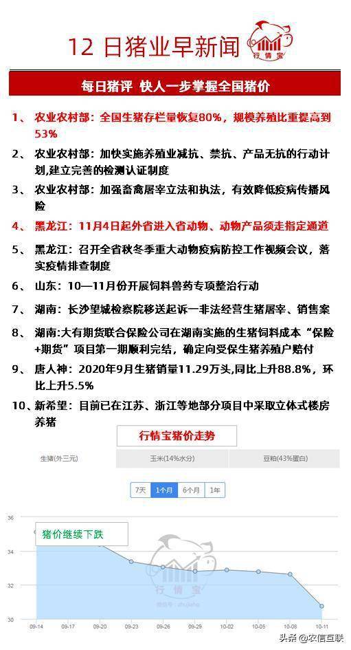猪市行情深度解析,最新动态与观点阐述