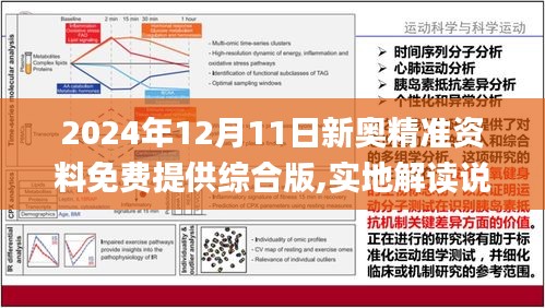 2025年正版资料免费最新,实地观察解释定义_稳定版15.602