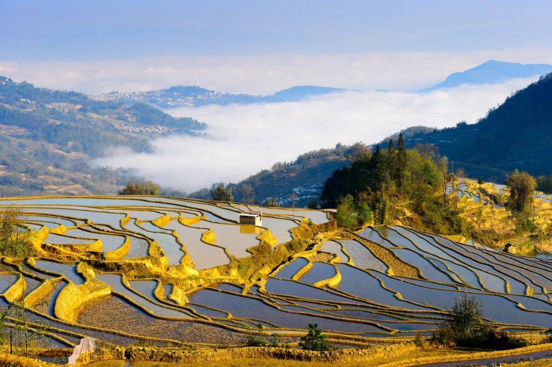 一汽富维与自然美景的邂逅,探寻内心宁静之旅的最新消息