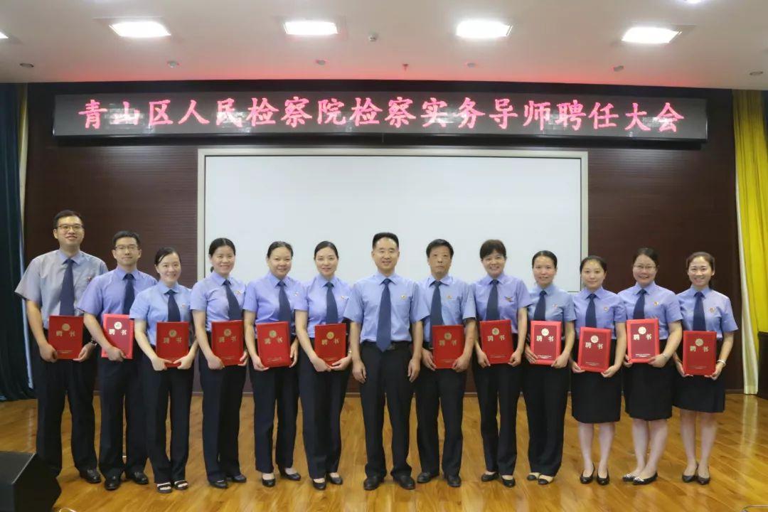 青山最新招聘,汇聚人才共筑绿色未来