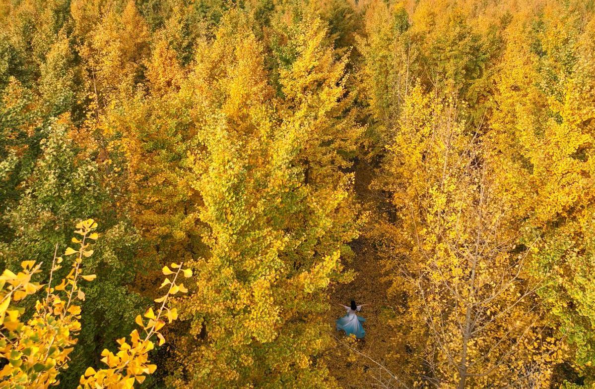 最新房屋买卖,探寻自然美景,寻找内心平和的居所