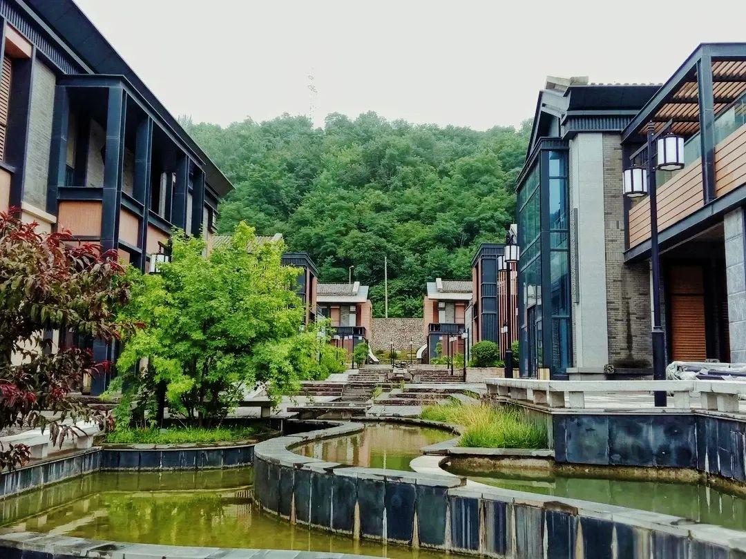 林老师最新舞蹈,小巷深处的舞动秘境