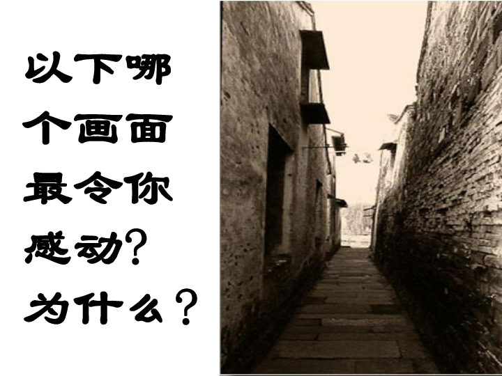 Tube6最新,小巷深处的独特风味,探索特色小店的必去之地