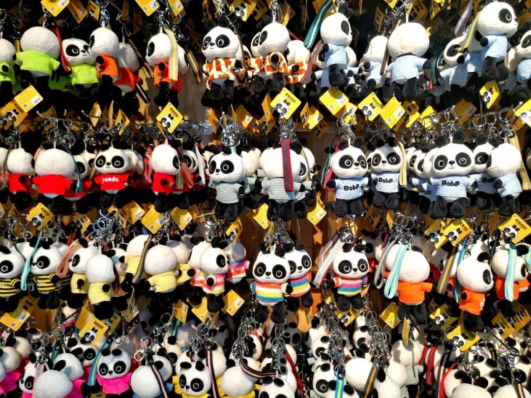 最新生存游戏揭秘,小巷神秘乐园探险之旅