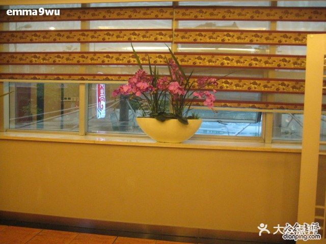 倍速课堂最新版,小巷中的隐藏宝藏,探索特色小店的精彩之旅