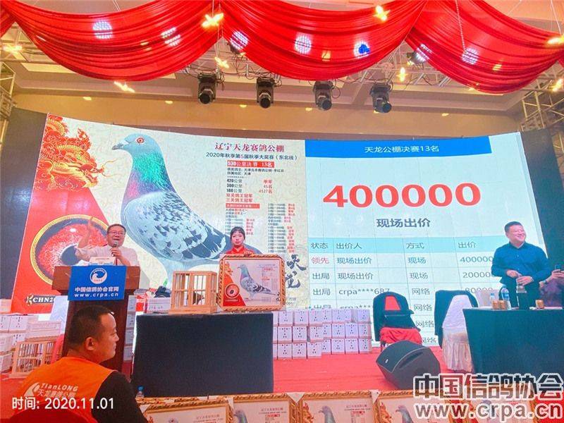 大同公棚最新公告，赛事动态、未来展望发布