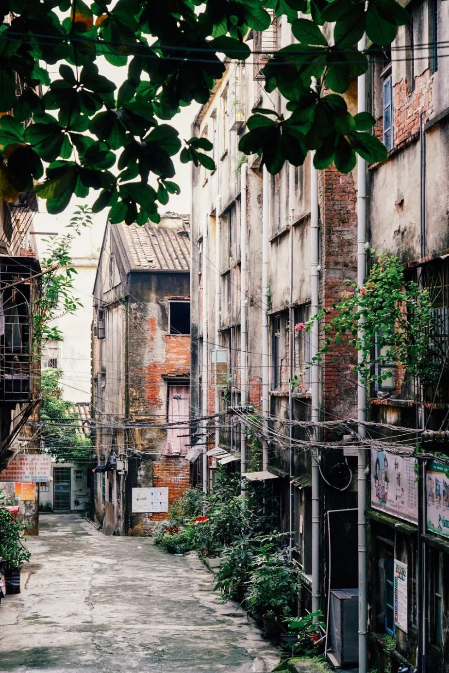 玛雅论坛最新地址揭秘,小巷中的秘密论坛热议角落