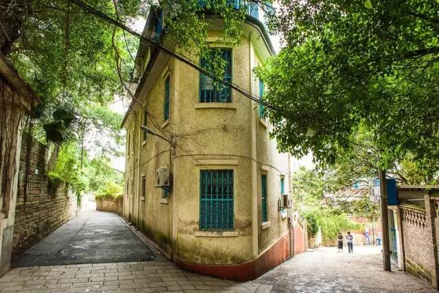 玛雅论坛最新地址揭秘,小巷中的秘密论坛热议角落