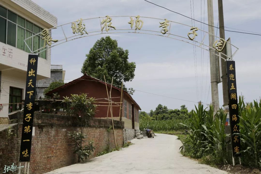 筠连百姓网更新动态,聚焦筠连发展,关注百姓生活最新资讯