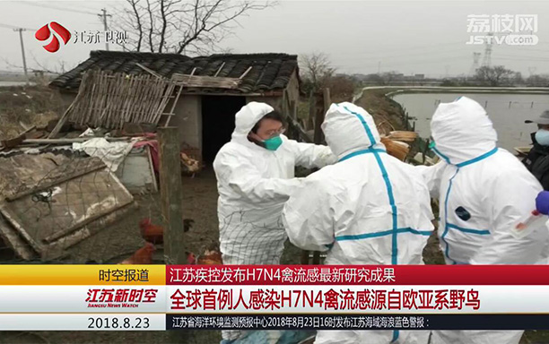 江苏禽流感最新动态更新📢禽鸟疫情关注焦点