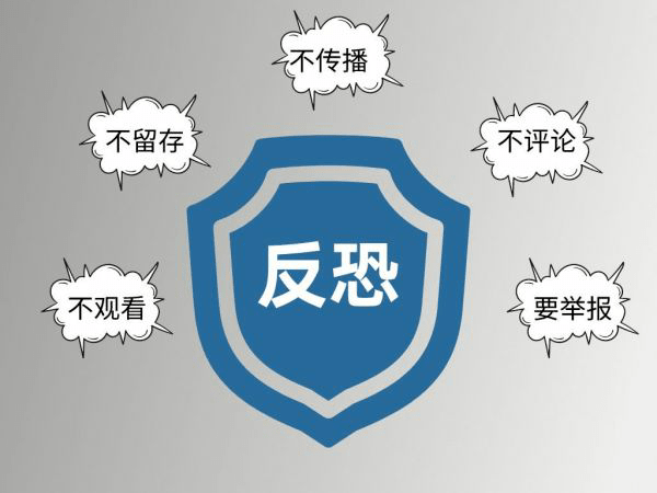 反恐最新观点论述,反恐最新版分析解读