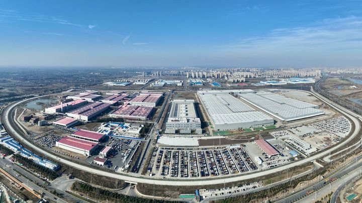 周口小麦最新行情，科技引领智能分析重塑农业市场