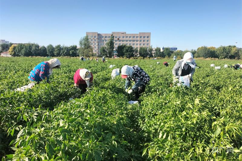 内蒙古防疫最新公告下的日常生活温馨指南