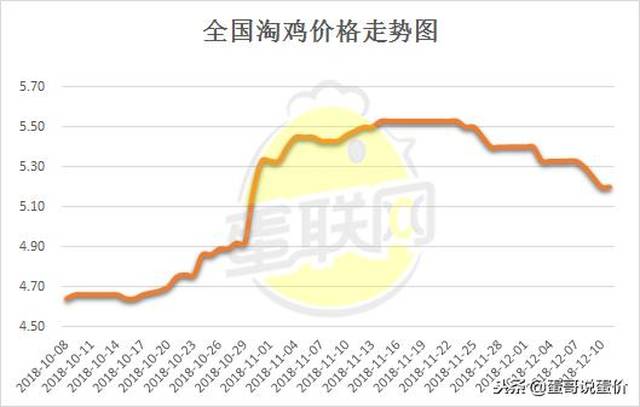 科技引领新时代养鸡业,今日淘汰鸡最新价格概览