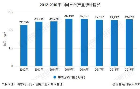 河北玉米最新价格全面解析及行情动态今日播报