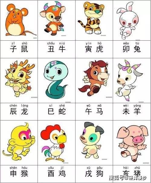 最新版2023十二生肖表,趣味生肖故事集锦