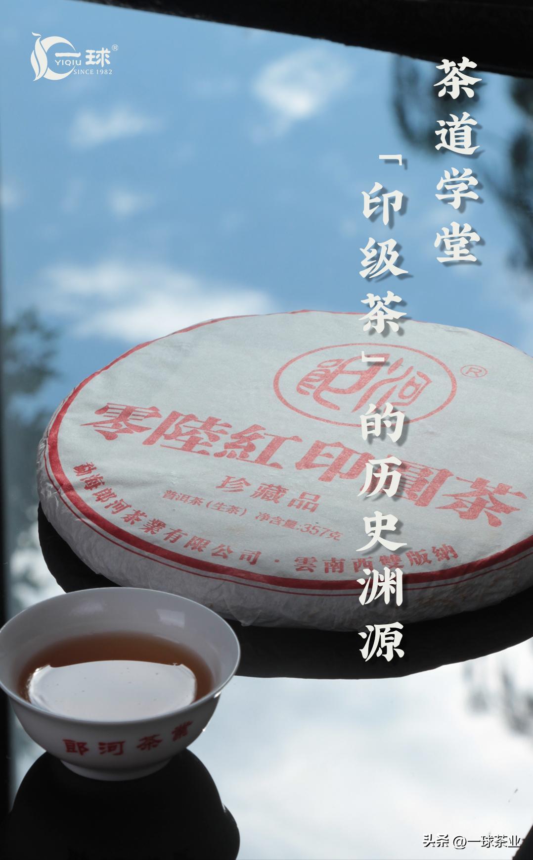 探索小巷深处的宝藏,揭秘97水蓝印普洱茶价格与故事