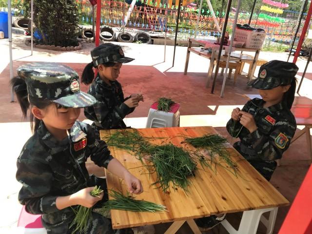最新自动抢红包软件,学习变化,拥抱自信与成就感的抢红包之旅