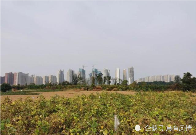 肥乡房产资讯速递,与自然美景的邂逅,探寻内心平和与宁静的居所