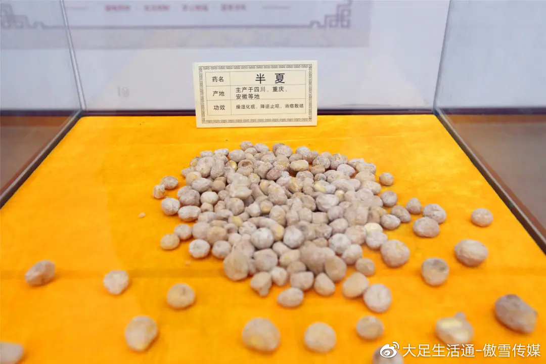 半夏价格揭秘,小巷深处的药香宝藏探索
