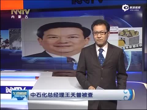 中石化王天普最新动态,引领石化行业迈向新高度的新征程