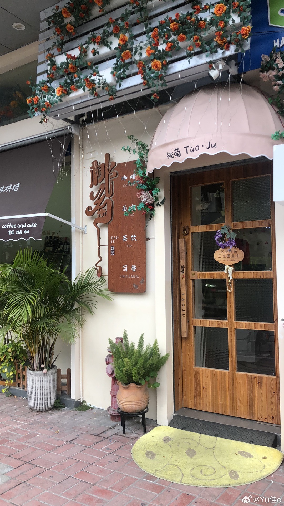 域名停靠资讯,巷弄深处的独特小店探索