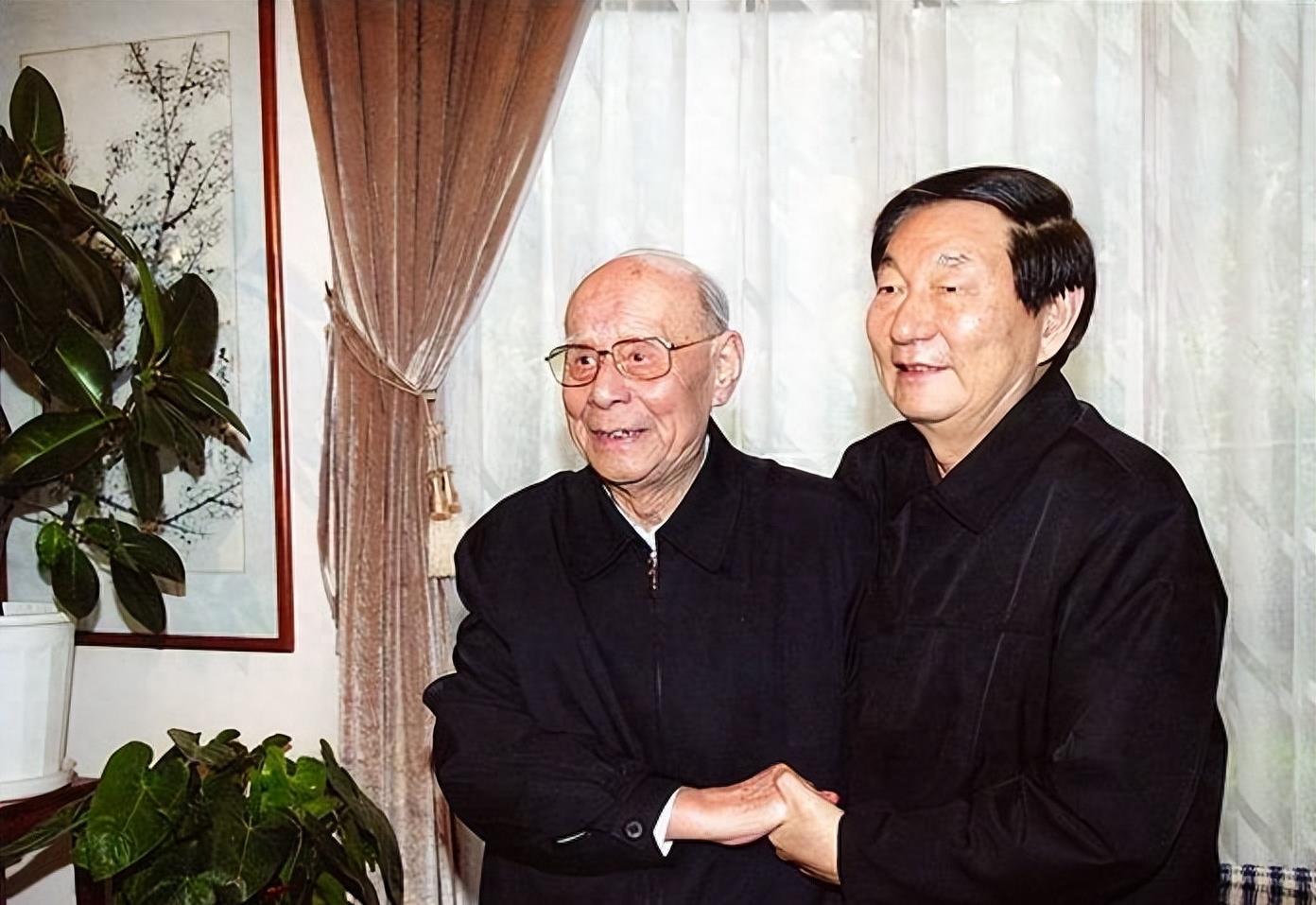 回族女明星,娱乐圈中的璀璨之星