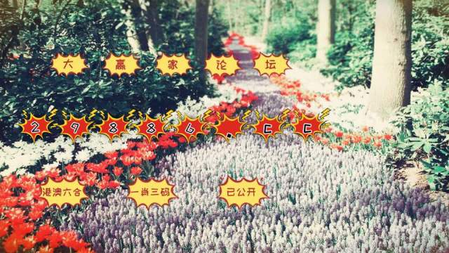 一站式城市服务平台 第129页