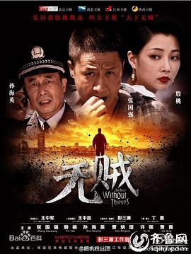 无贼电视剧全集,版权保护与观众需求的博弈免费观看48集全集