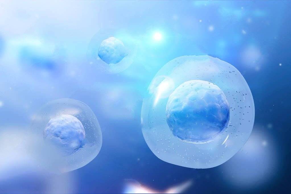 干细胞临床研究最新进展揭秘,科学突破与未来展望
