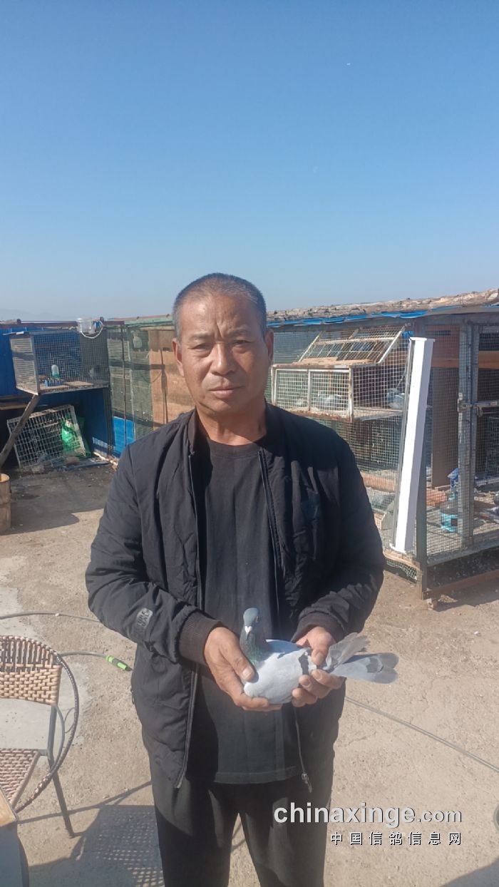 秦都公棚最新动态,友情与陪伴的温馨时光