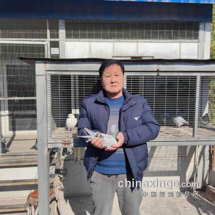 秦都公棚最新动态,友情与陪伴的温馨时光