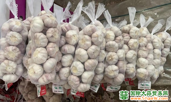 最新大蒜行情揭秘，市场走势与厨房应用探究