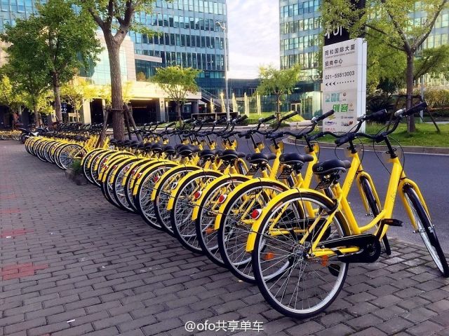 共享单车最新动态与消息热点🚲🔥