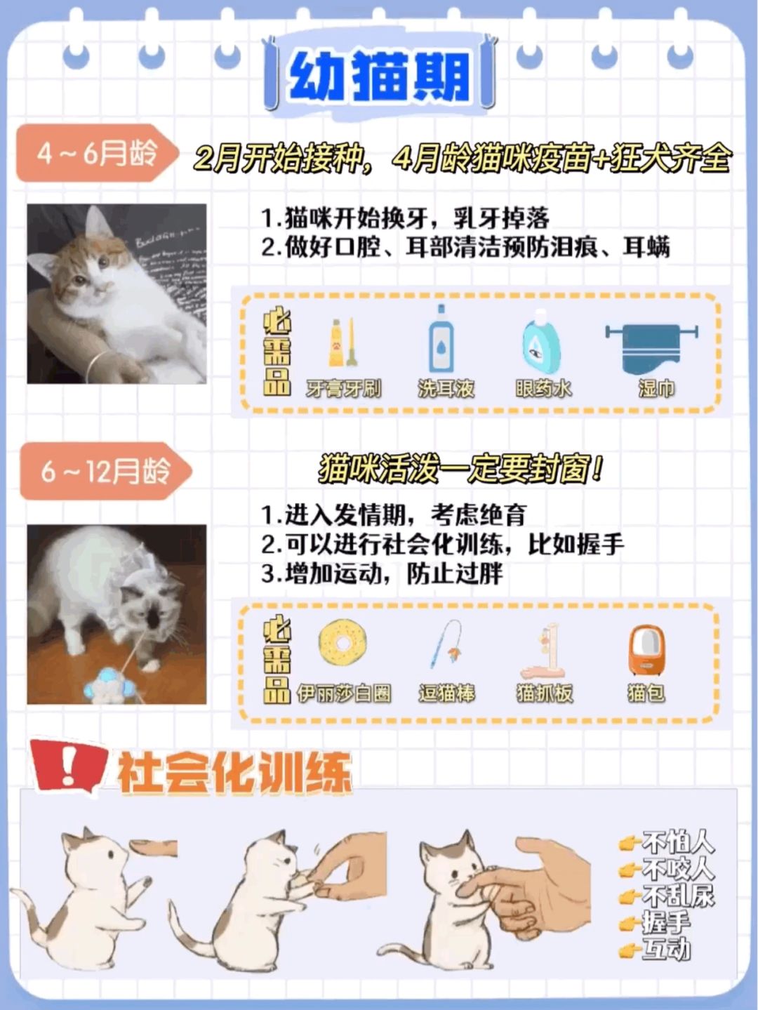最新版猫咪养育与训练指南，养育小猫咪的必备指南