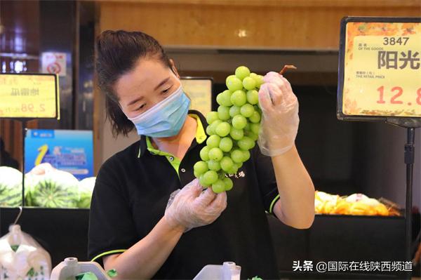小红书带你畅游网络世界，最新网址重磅更新大揭秘