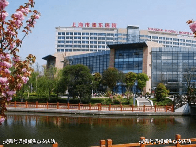 最新翻译观点阐述与立场分析